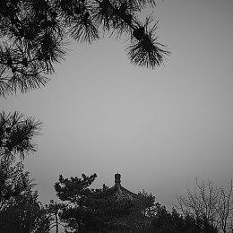 《星之海》支持Steam Deck 已经制作完成